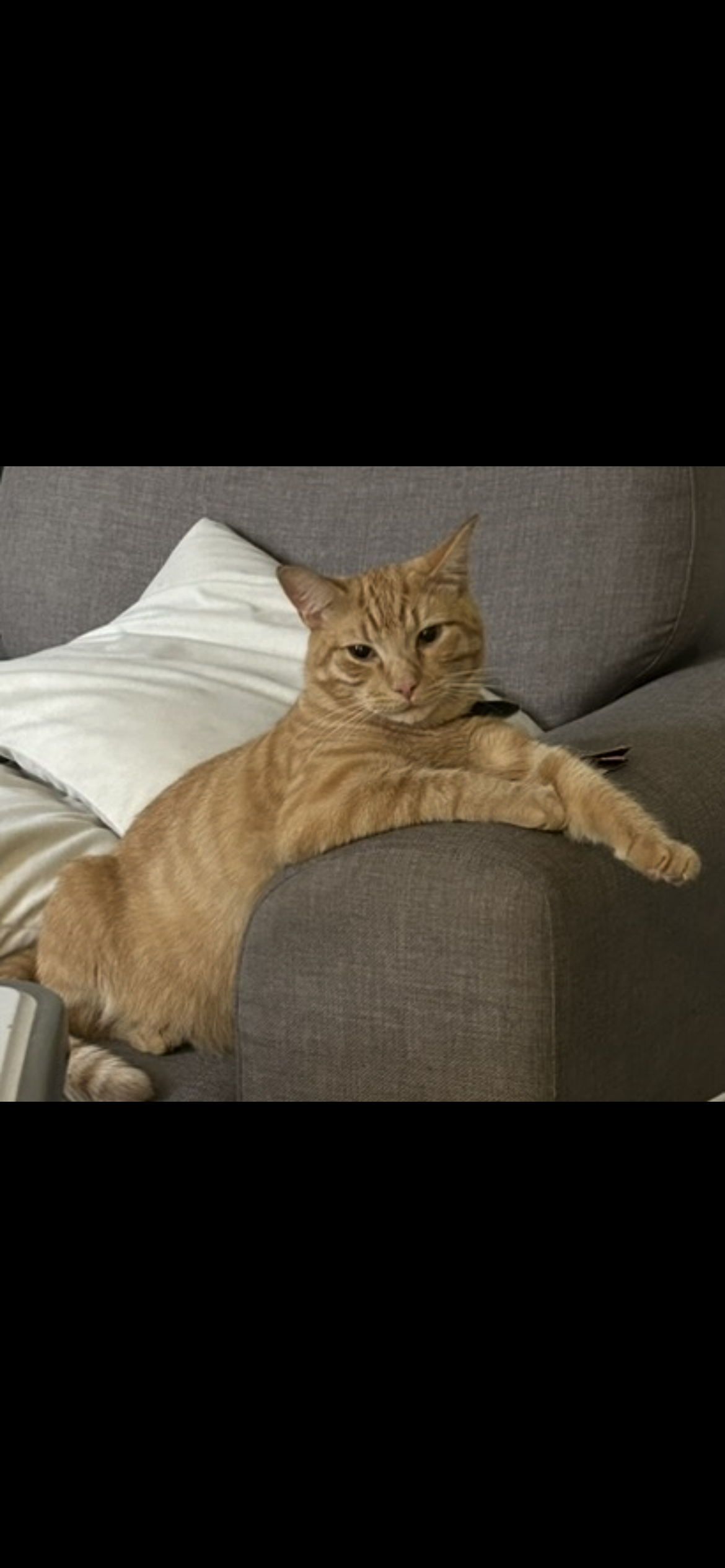 Photo of Casper