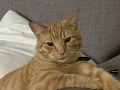 Photo of Casper